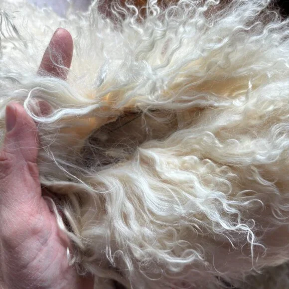Vintage Mongolian Lamb Fur Vest